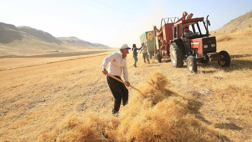 Pandemi tarımda ithalatı patlattı