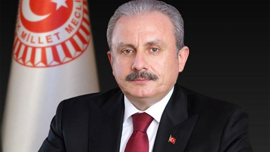 Meclis Başkanı: Hayvan hakları yasası en kısa zamanda kanunlaşacak