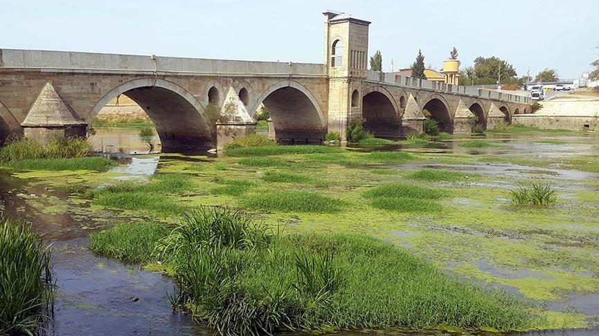 Tunca Nehri’ni ot bastı