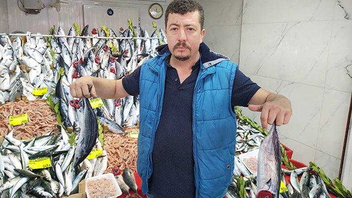 tezgahlarda palamut azaldi fiyatlar 15 liradan 25 liraya yukseldi ekonomi haberleri