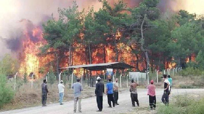 Kahramanmaras Ta Dun Cikan Orman Yangini Kontrol Altina Alindi Son Dakika Haberleri