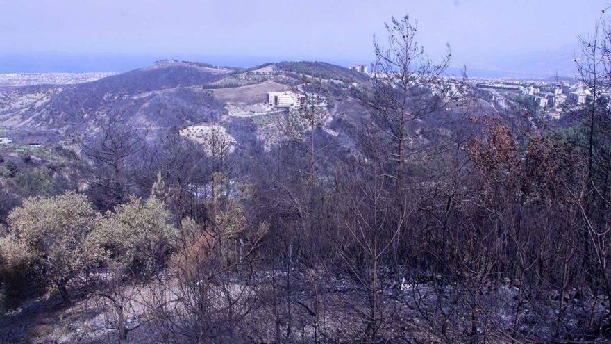 Terör örgütü yangını fırsata çevirme peşinde