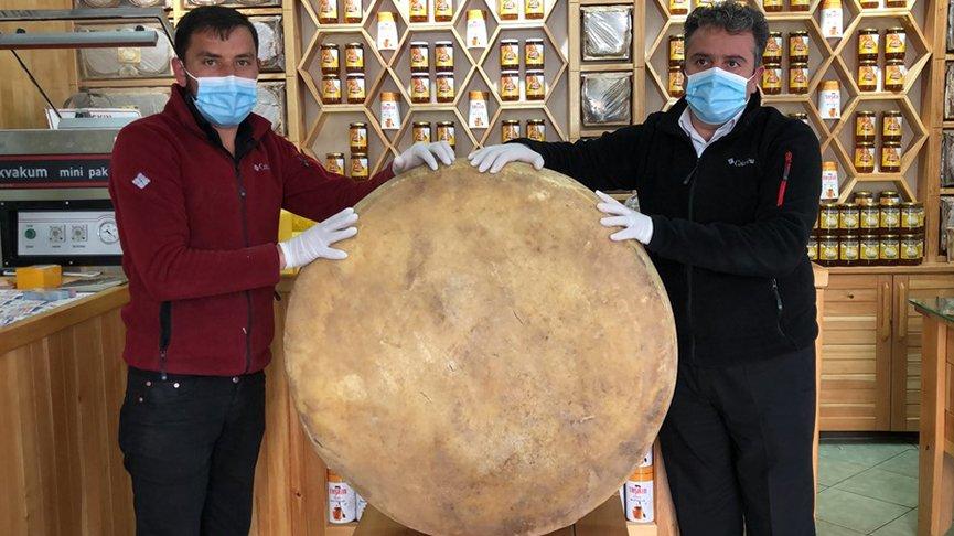 100 kiloluk dev gravyer peyniri