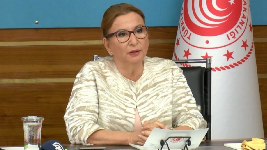 Libya’da yarım kalan müteahhitlik projeleri devam edebilecek