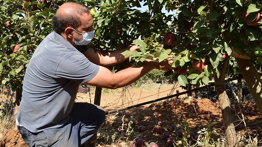 Gördüğü bahçeden etkilenip kariyerini bıraktı! Şimdi paraya para demiyor