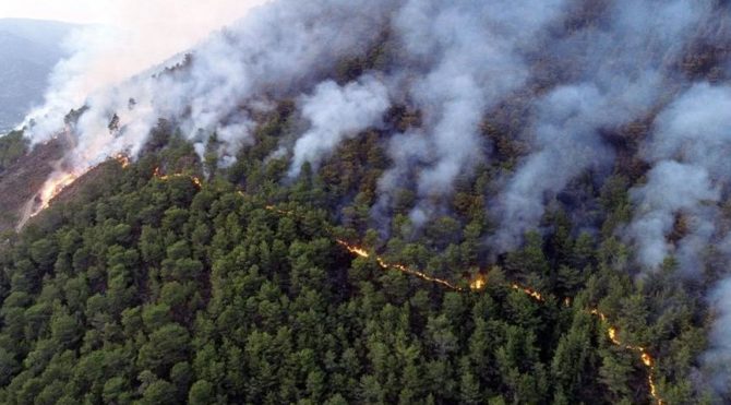 Hatay fire statement by Pakdemirli: There may be a possibility of sabotage, we should not ignore it