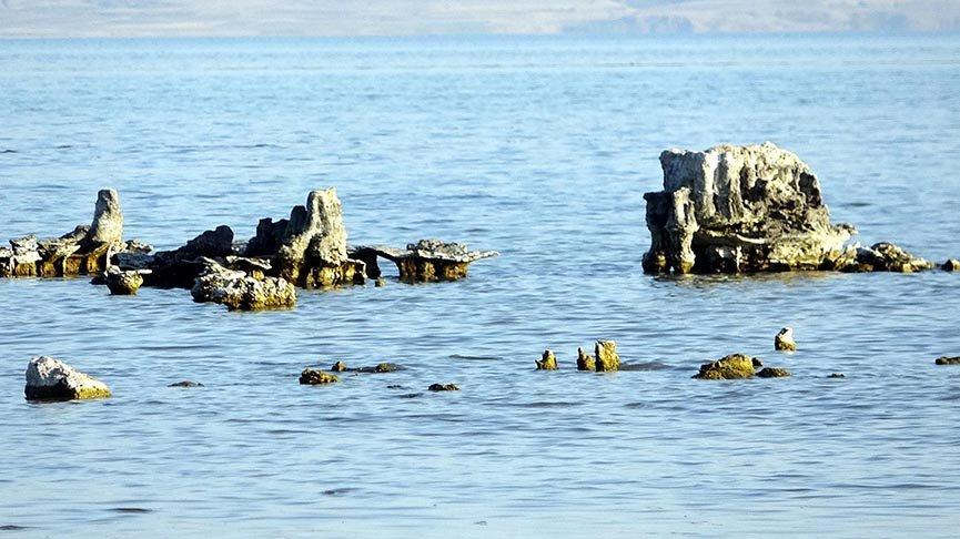 Van Gölü’nde sular çekilince ortaya çıktı
