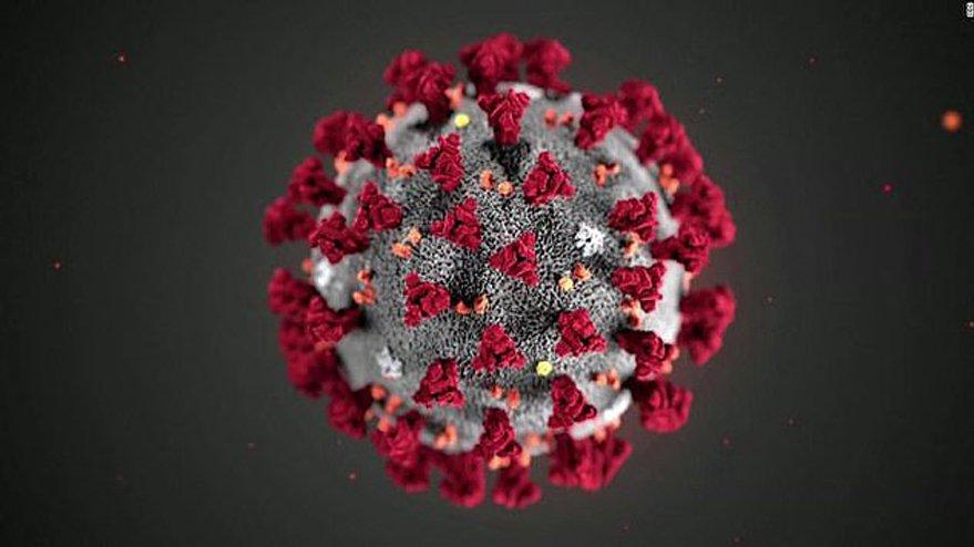 Corona virüsü mutasyona uğradı: Artık çok daha bulaşıcı