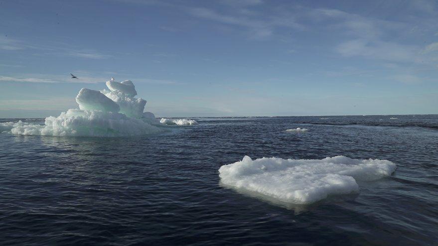 The US, where the electoral debate continues, leaves the Paris Climate Agreement