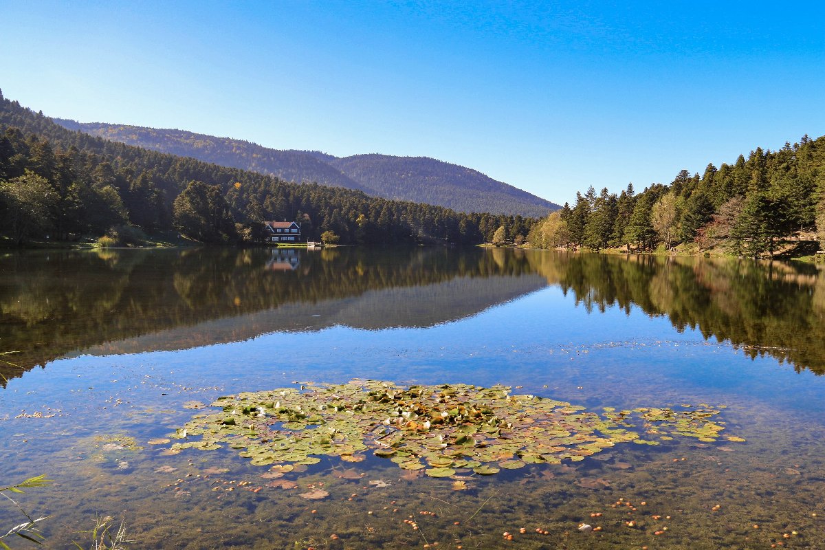bolu-iha5_12597963.jpg