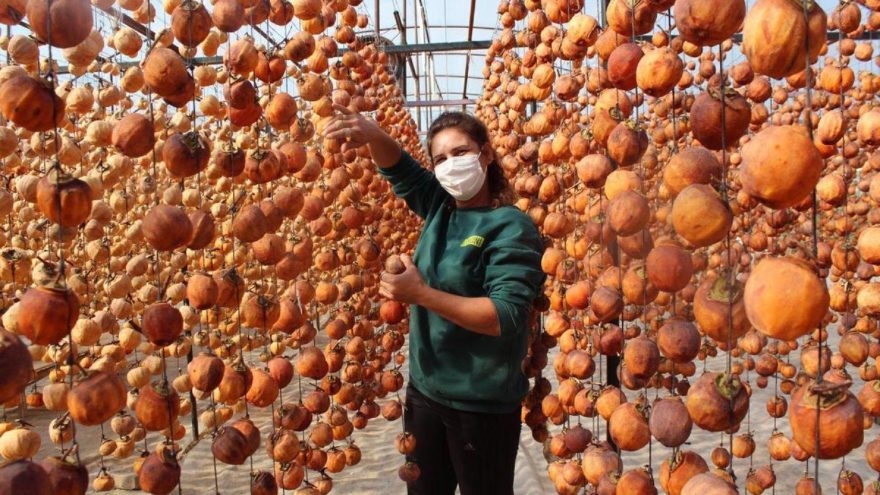 40 kiloyla başladı şimdi yılda 50 ton satıyor