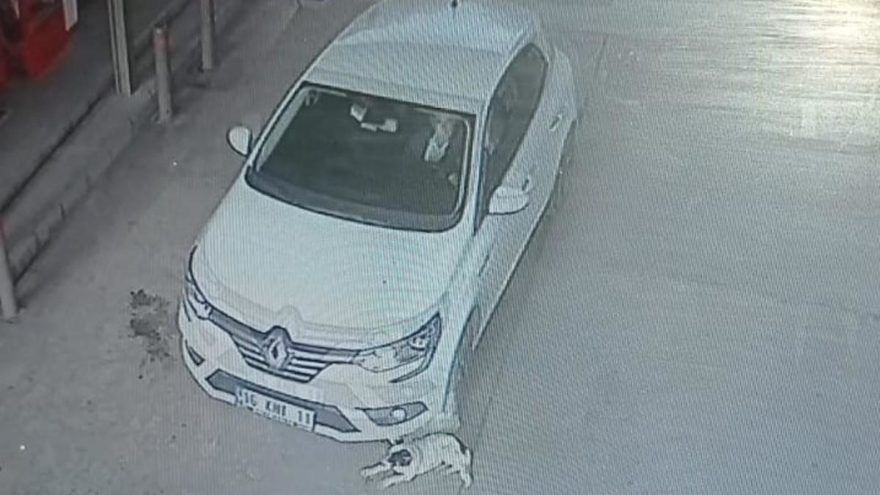 Otomobille Iki Kopegi Ezdi Son Dakika Haberleri