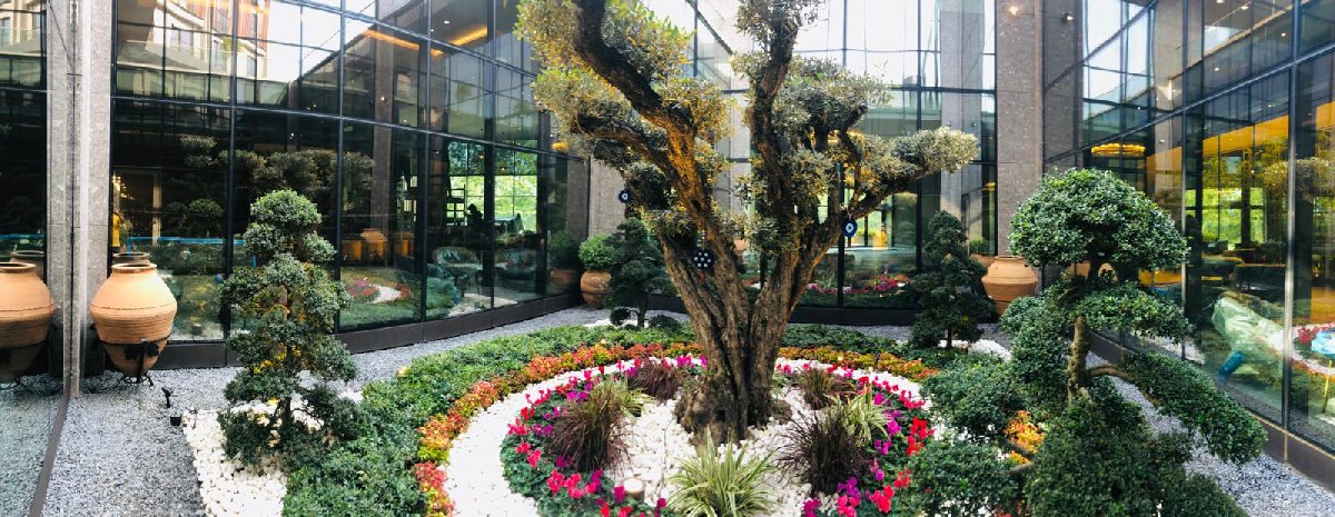 Ng Sapanca Enjoy 5 Yildizli Otel Kavramini Bambaska Bir Boyuta Tasiyor Sozcu Gazetesi