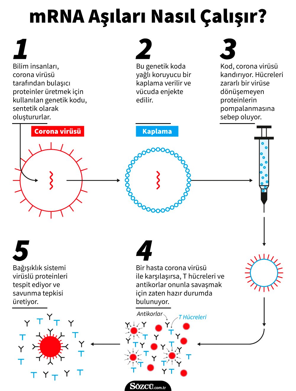 Elde var 2… Moderna ve BionTech aşılarının farkları ne? - Son dakika dünya  haberleri
