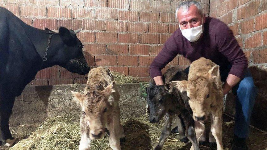 1 tane aldı, 15 gün sonra 4 tane oldu