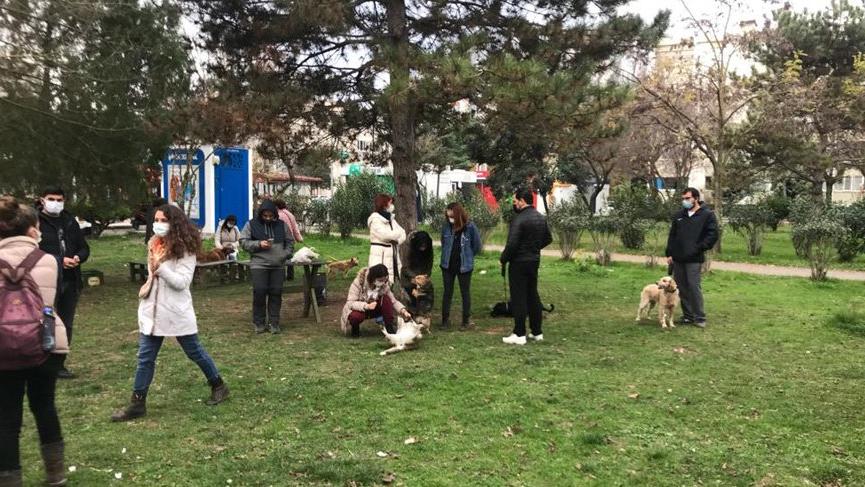kopekleri oldurenler belediye personeli