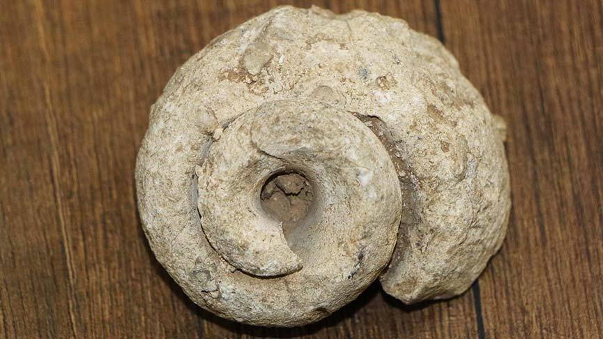 Arazide dolaştığı sırada bulduğuyla soluğu müzede aldı!