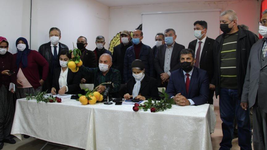 Mersin’de ağaç katliamına tepki