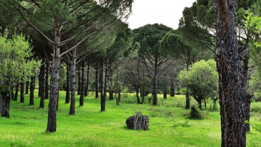 Dünyaca ünlü yaylada bir taş ocağına daha ruhsat