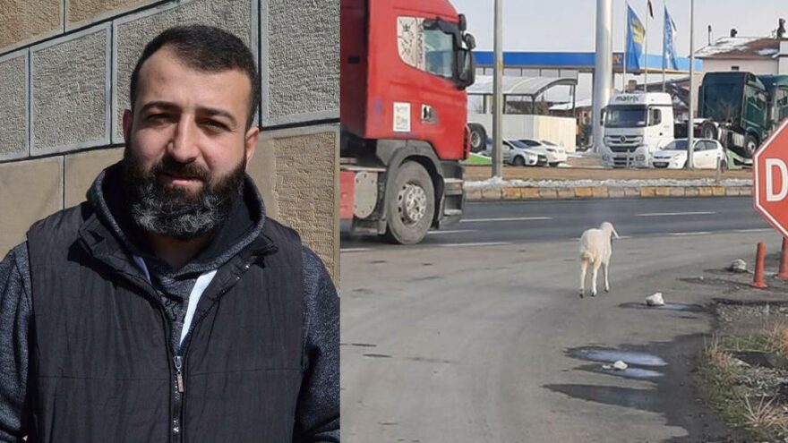 Yolda bulduğu kuzuyu aracına alıp ısıttı
