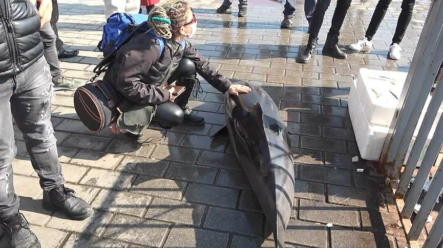 Beyoğlu’nda karaya vuran yunusta kurşun deliği