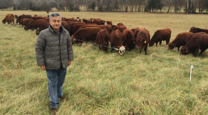 TOBB Hayvancılık Meclisi Başkanı Şahbaz: Besicilik bitiyor