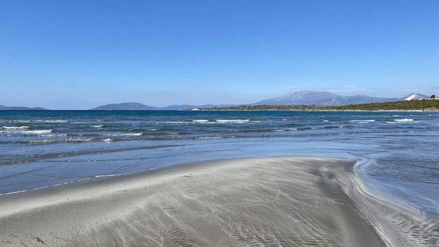 izmir de korkutan goruntu son dakika haberleri