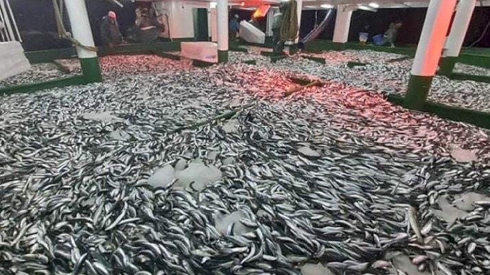 Uzmandan isim uyardı: Büyük tehlike