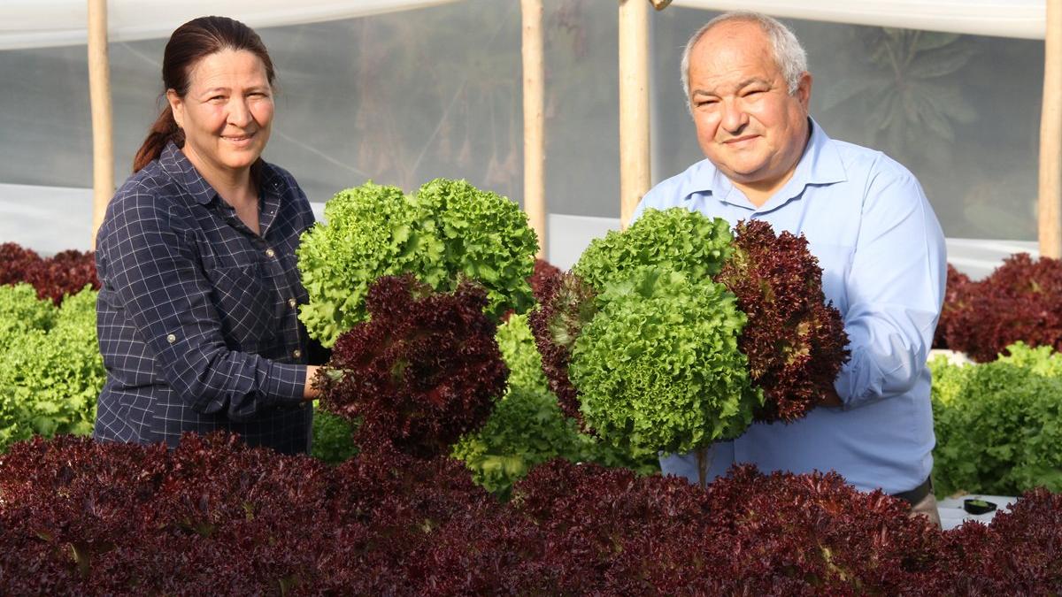 Ev kadınıydı çiftçi oldu, ayda 4 bin lira kazanıyor Sözcü Gazetesi