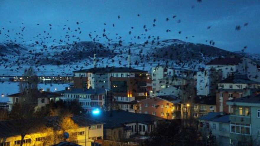 Gece gökyüzüne bakanlar gözlerine inanamadı! Şehri istila ettiler
