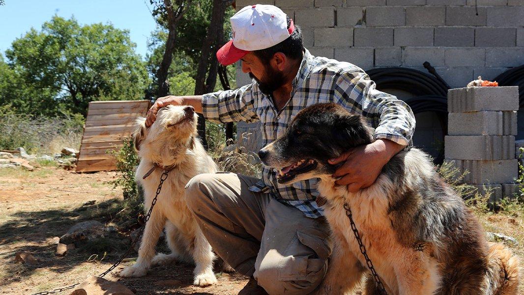 Turkiye Nin En Buyuk Hayvan Barinaginda Binlerce Hayvan Sahiplendirildi Guncel Yasam Haberleri