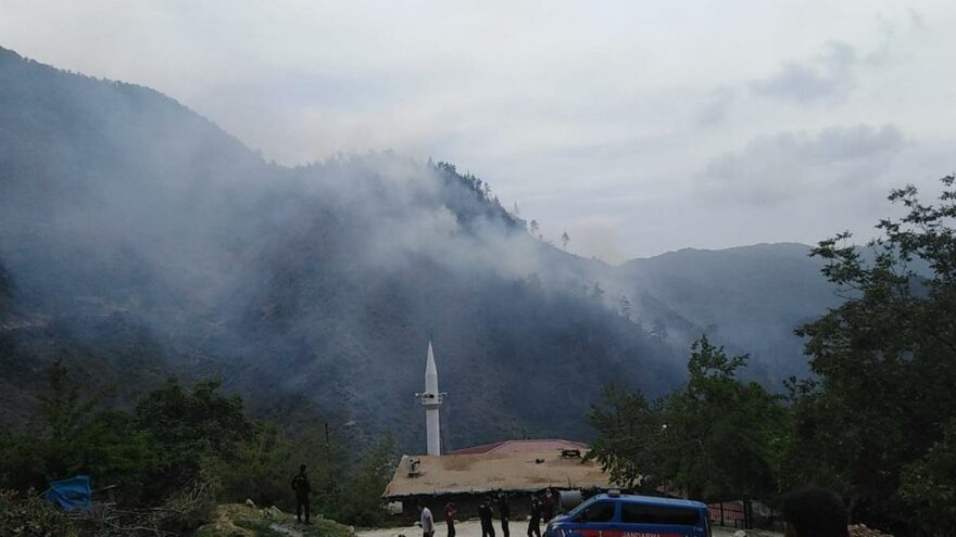 Osmaniye’de korkutan orman yangını