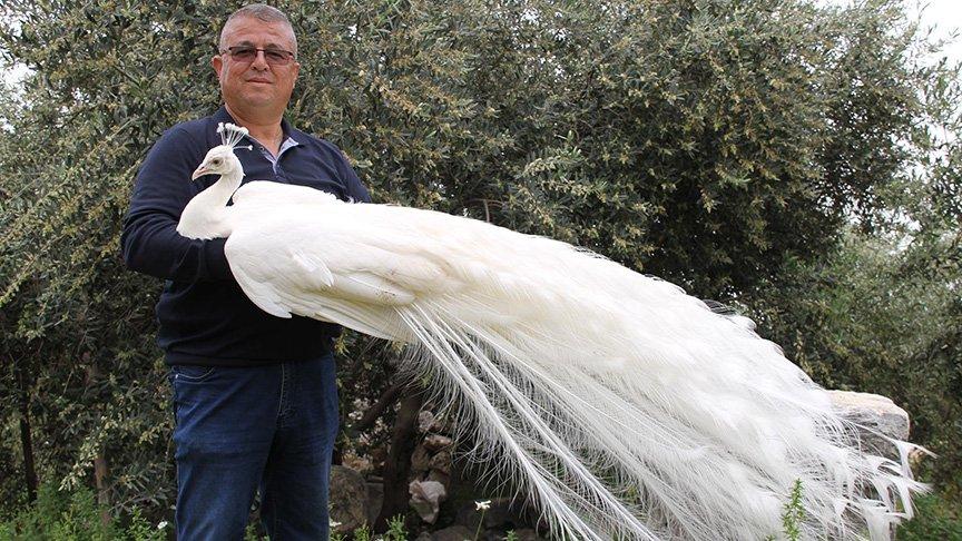 Hobi olarak başlamıştı! Şimdi sipariş yağıyor…