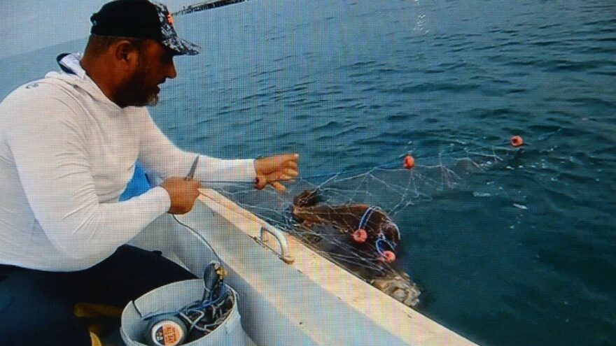 “Caretta carettam, tamam gülüm”