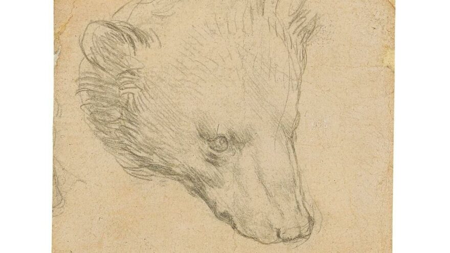 Leonardo Da Vinci’nin 16 milyon dolarlık saklı kalmış çizimi