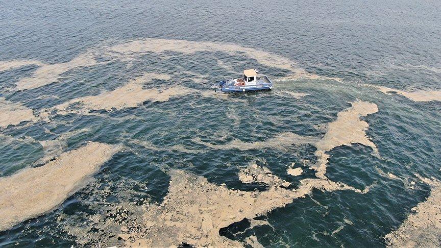 İzmit Körfezi’nden 110 ton deniz salyası toplandı
