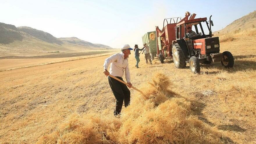 Kazanamayan çiftçi tarımdan kaçıyor