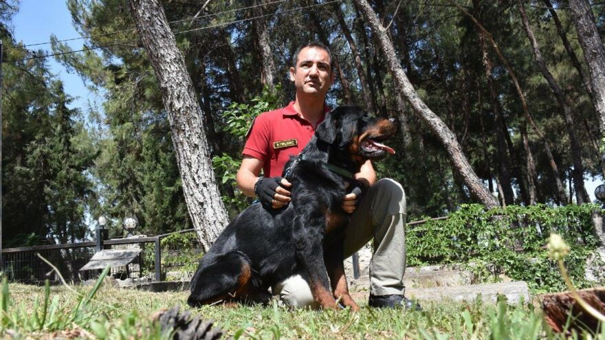 Sahibi uyuşturucudan tutuklandı, ‘Buffy’ polis köpeği oldu