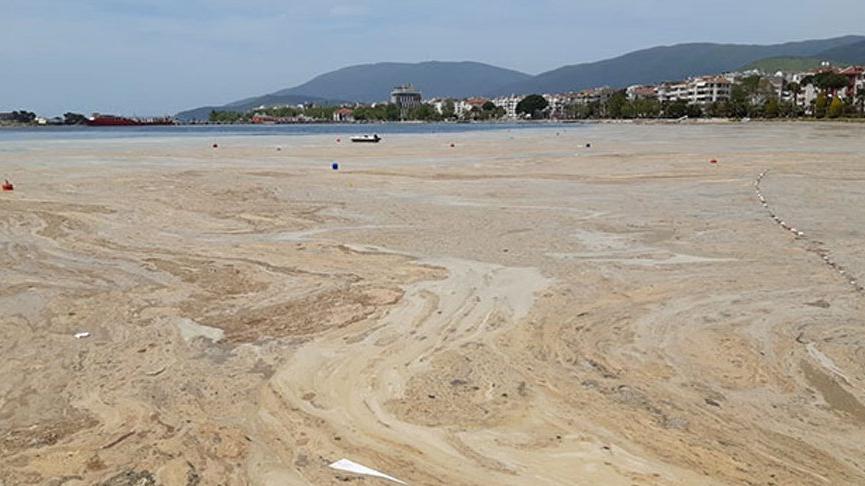 Marmara Denizi için korkutan müsilaj açıklaması: Koma halinden 5-6 yılda çıkarabiliriz