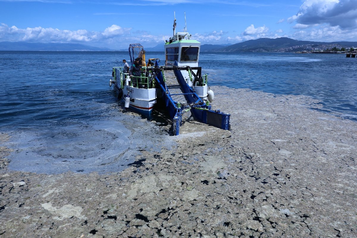 Marmara için ürküten açıklama: Deniz öldü ve patladı... - Resim : 2