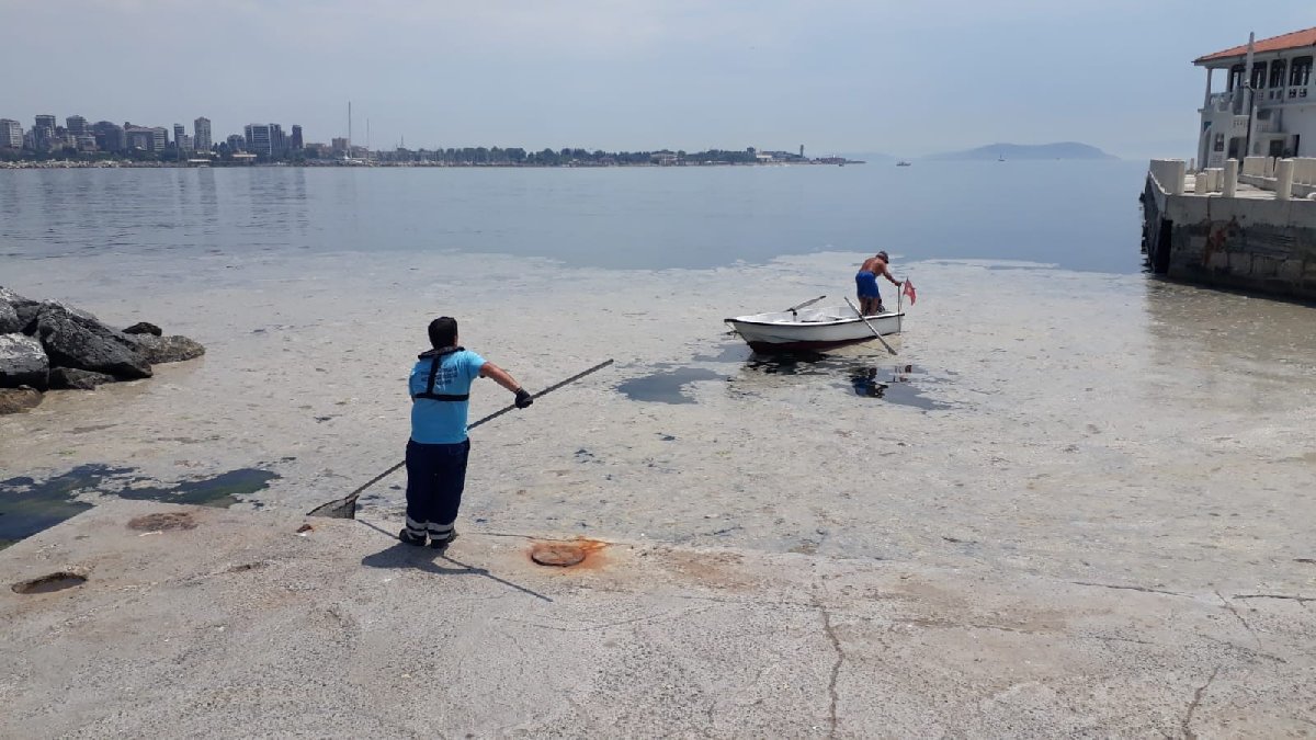 Kadıköy'ün sahillerini deniz salyası kapladı: Ekipler temizlik çalışması yaptı - Resim : 6