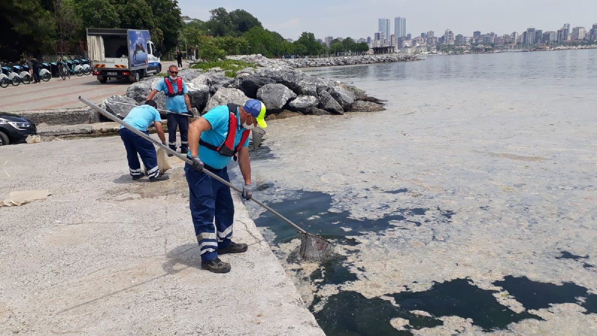 Kadıköy'ün sahillerini deniz salyası kapladı: Ekipler temizlik çalışması yaptı - Resim : 2