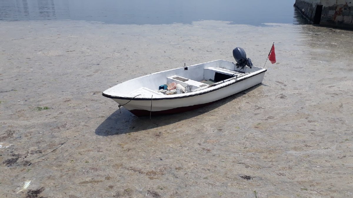 Kadıköy'ün sahillerini deniz salyası kapladı: Ekipler temizlik çalışması yaptı - Resim : 3