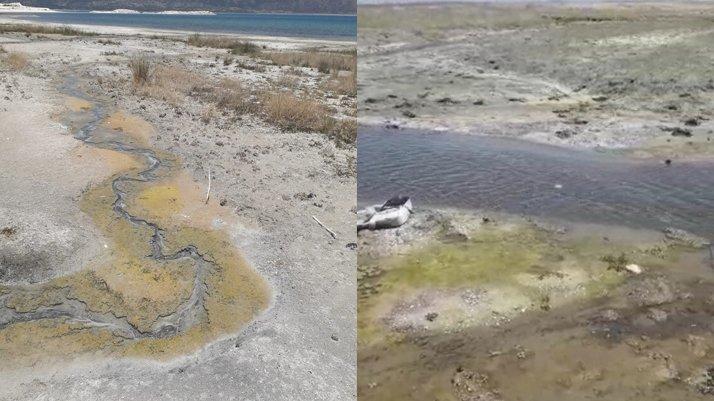 ‘İçilebilir denen Salda Gölü’ne kanalizasyon karışıyor’