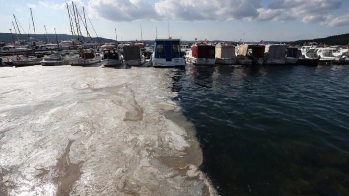 Marmara Denizi için müsilaj uyarısı: Kanal İstanbul çılgınlığından vazgeçilmelidir - Son dakika haberleri