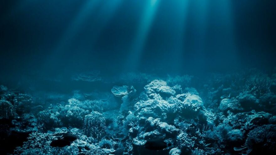 National Geographic yeni okyanusu resmen tanıdı: Güney Okyanusu