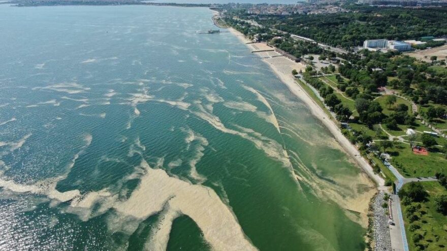 Deniz salyası bu kez Bakırköy kıyılarını sardı