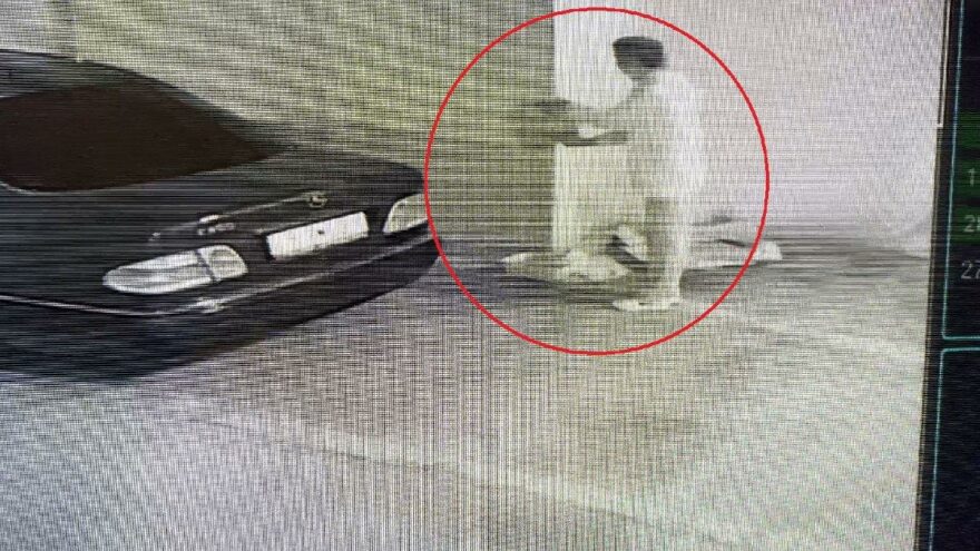Köpekleri ıslatıp kovalayan öğretim görevlisine mala zarar verme davası