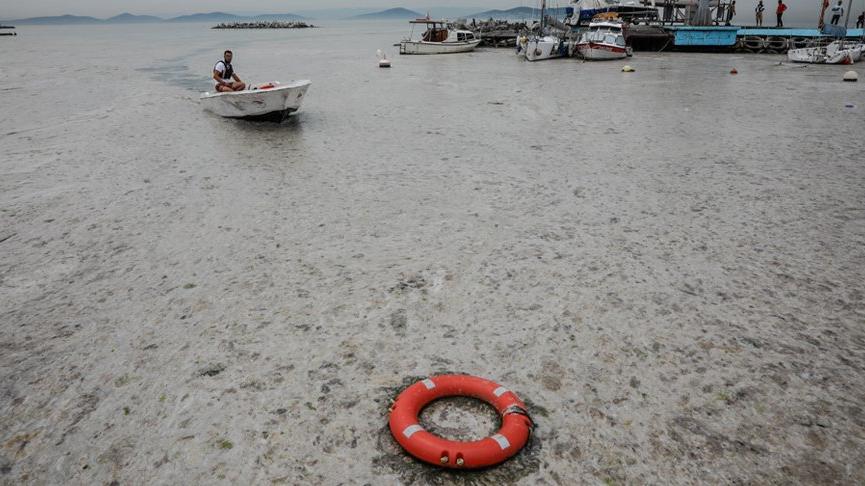 Müsilajın temizlenmesine de siyaset girdi! İBB ve bakanlıktan açıklama geldi