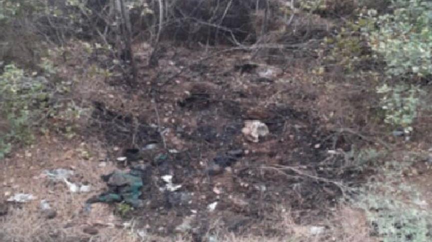 Ormanı yakan PKK’lı tutuklandı
